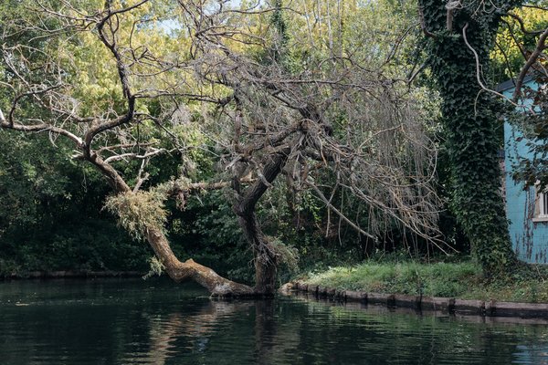 Un voyage relaxant : les massages à le mans vous attendent